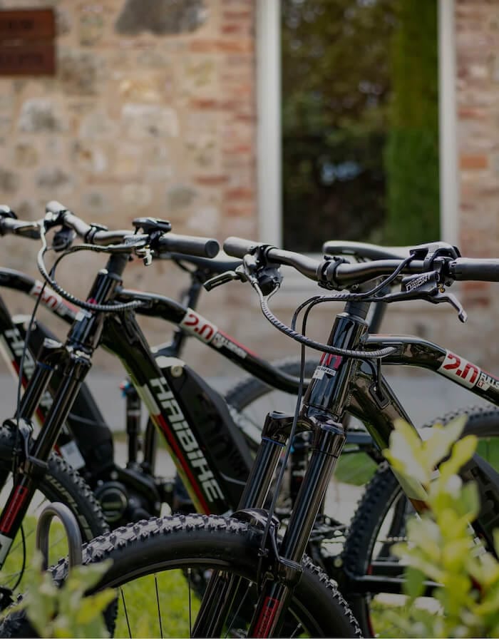 Bicicletta