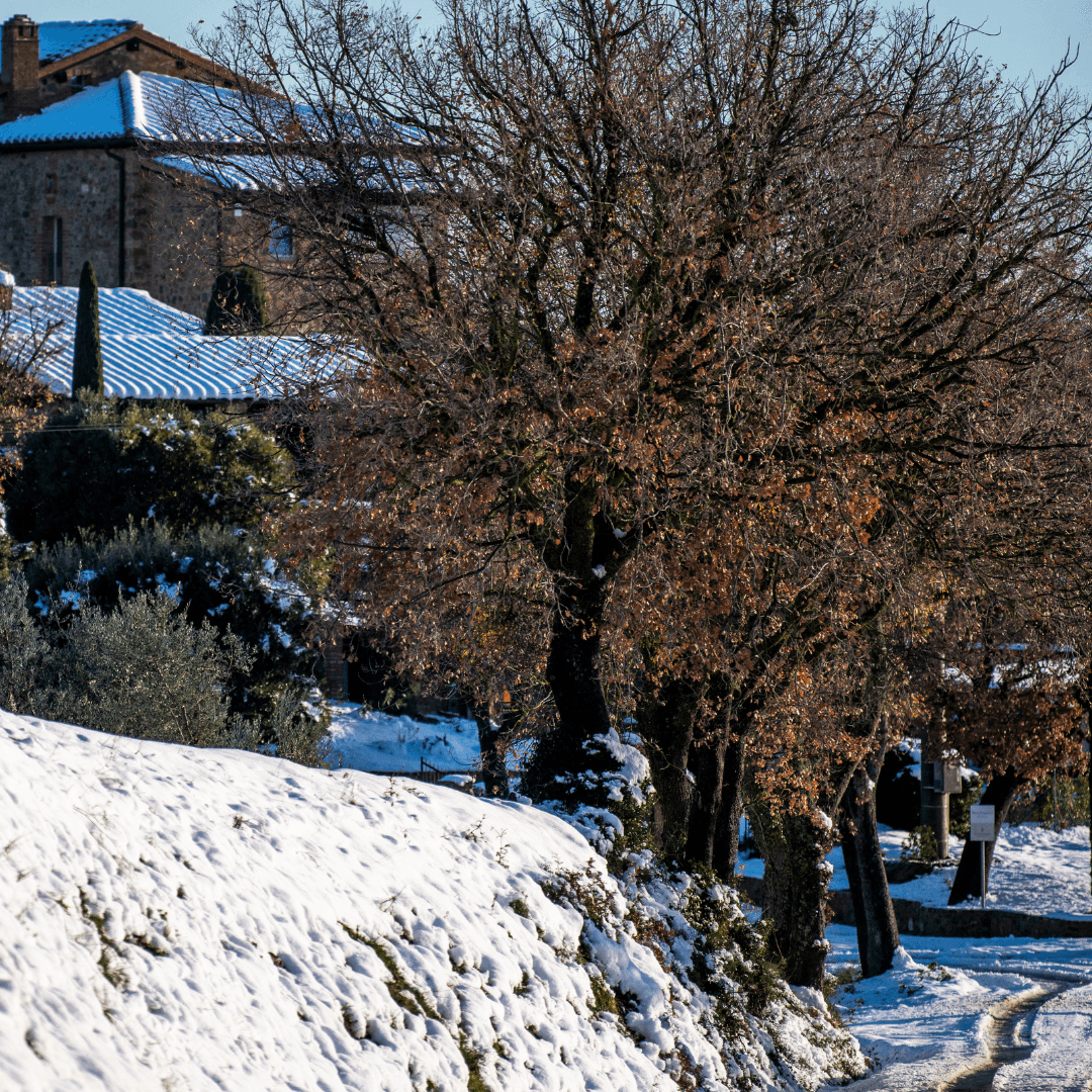 Mastrojanni neve