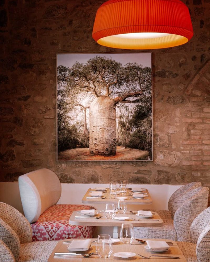 mastrojanni relais ristorante interno dettaglio parete